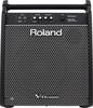 Roland PM-200 front