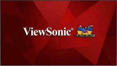ViewSonic CDX4952 Monitor