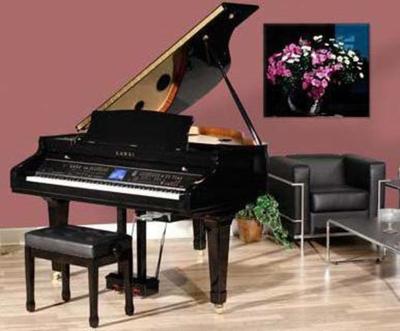 Kawai CP209 Pianoforte digitale