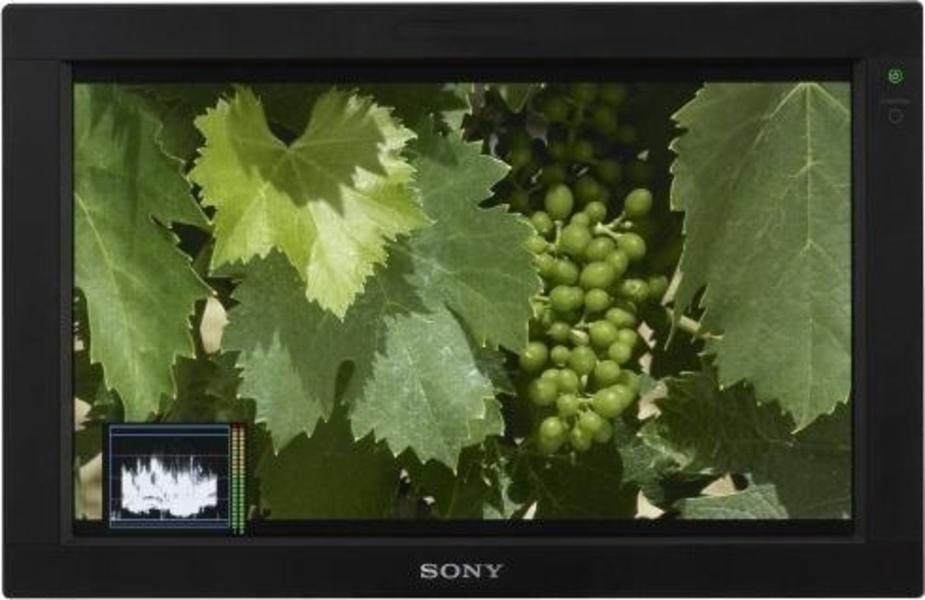 Sony LMD-1751W front on