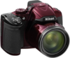 Nikon Coolpix P520 angle