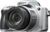 Sony Cyber-shot DSC-H50 angle