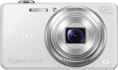 Sony Cyber-shot DSC-WX100 Digital Camera